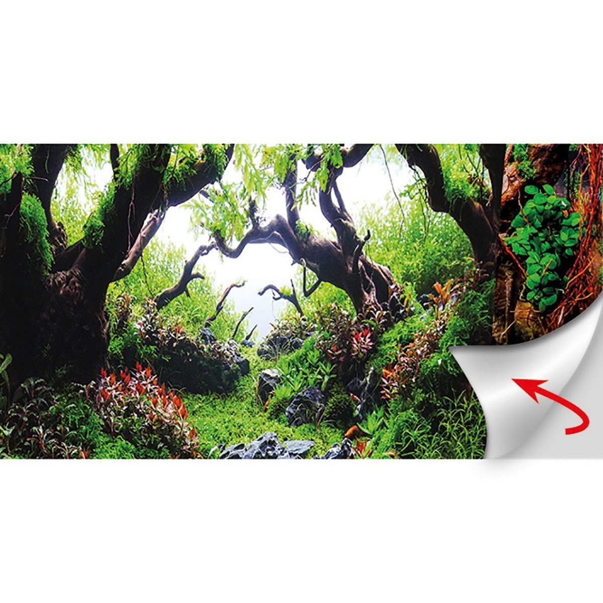 HOBBY Aquarienrückwand Fotorückwand für Aquarien Green Dream / Wooden Sky - 120 x 50 cm