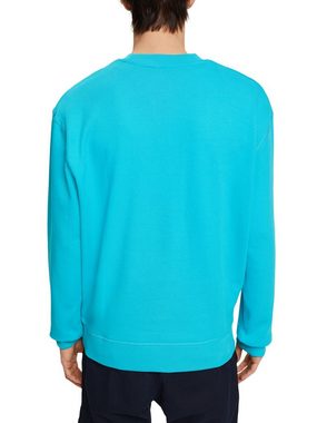 Esprit Sweatshirt Sweatshirt mit Logostickerei auf dem Ärmel (1-tlg)