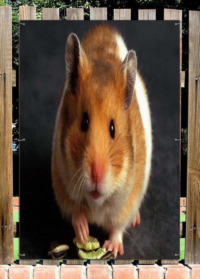 Thumbnail - Wallario Sichtschutzzaunmatten Putziger Hamster mit Nüssen zwischen den Pfoten