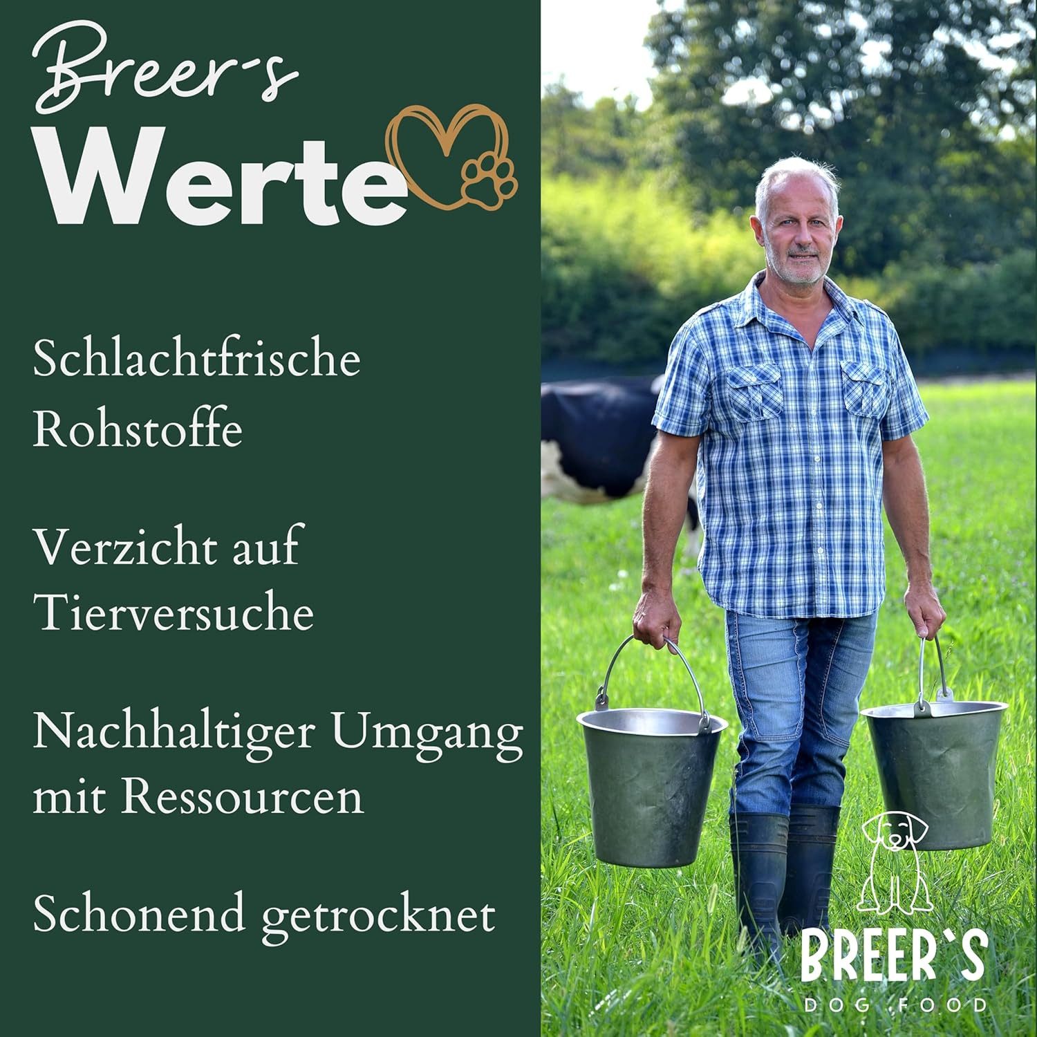 Breers Pet Food Ochsenziemerbruch getrocknet, Snack für: Hunde