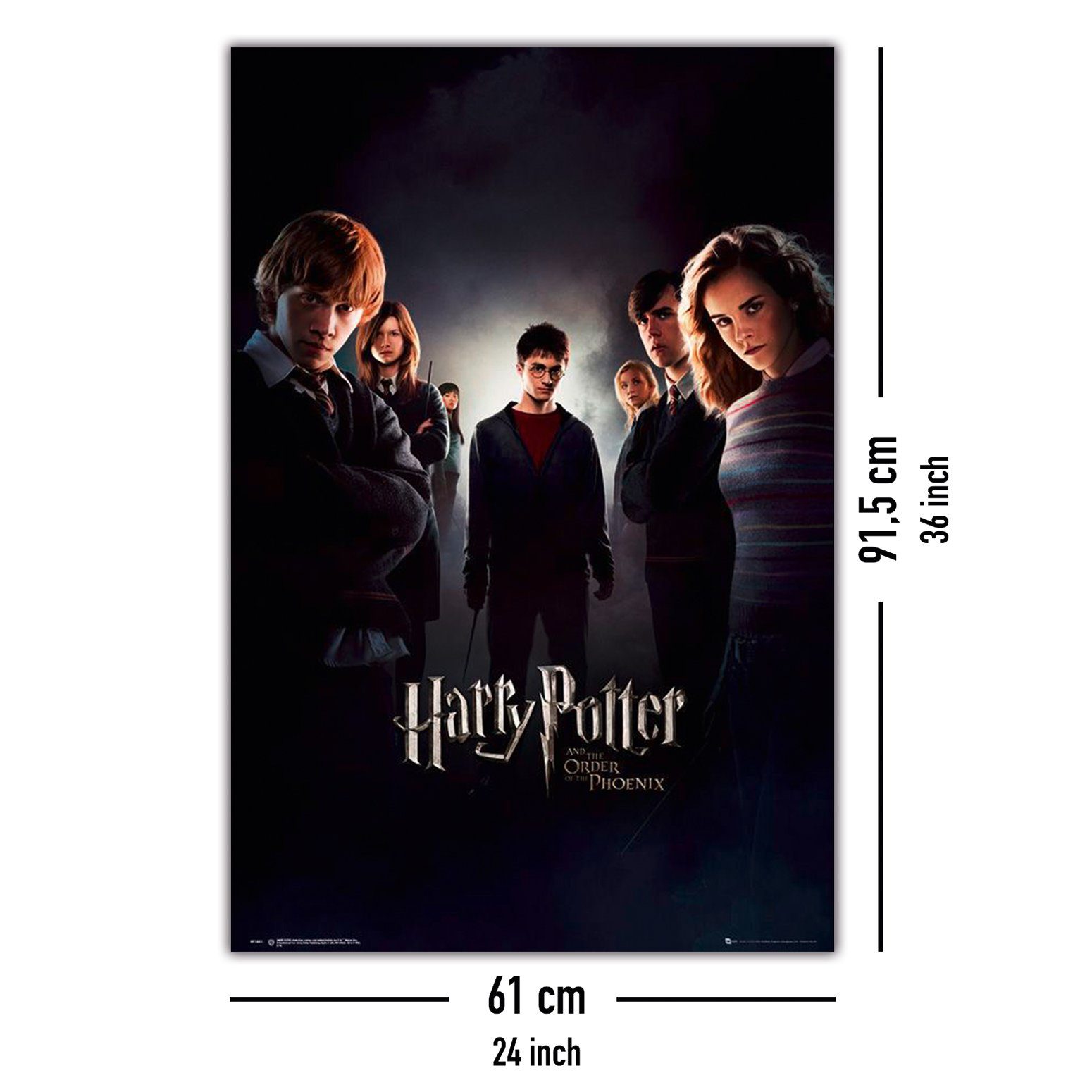 GB EYE: Harry Potter - Poster Maxi 91.5x61 - Hogwarts Legacy Key Art - Vendiloshop