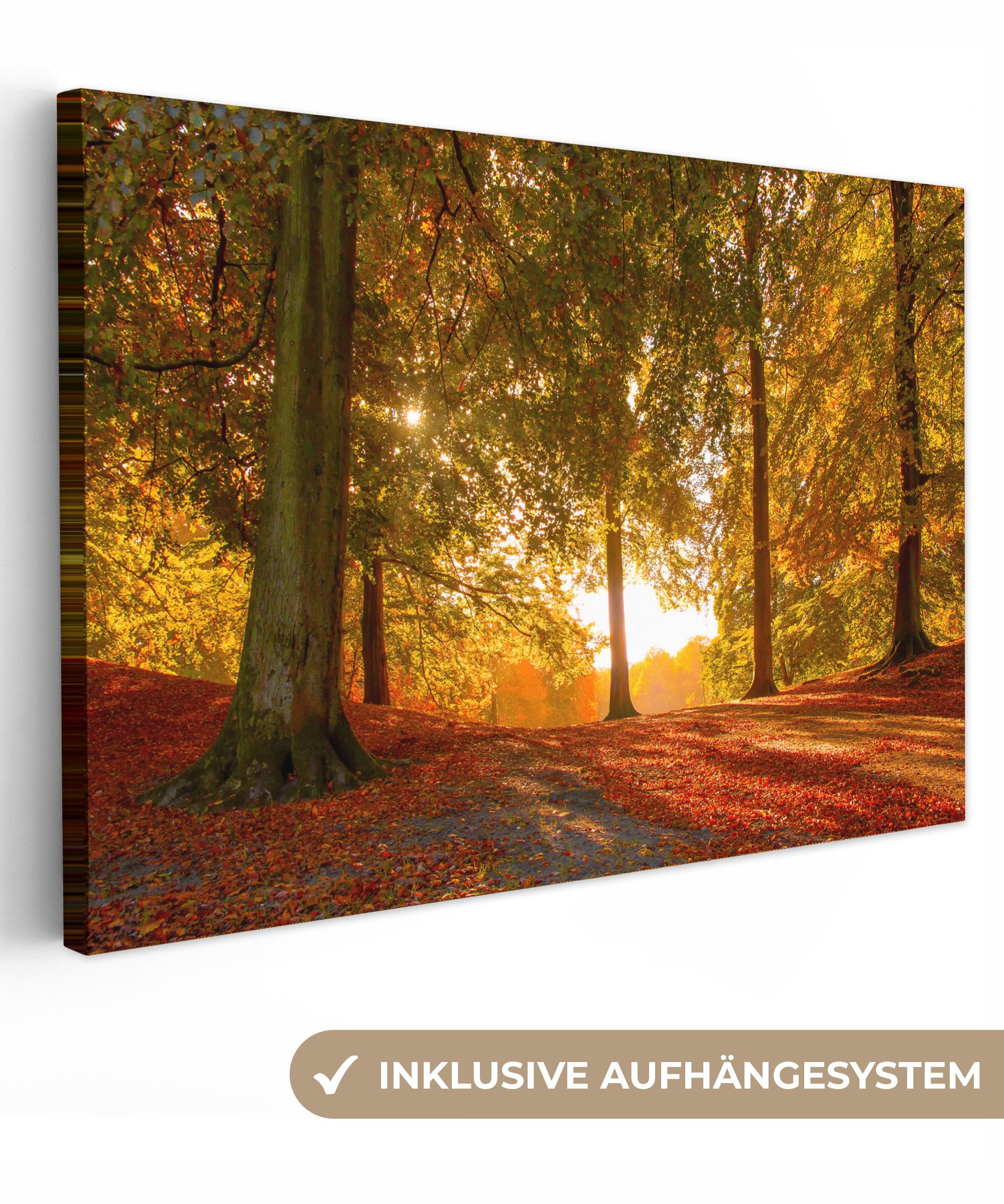OneMillionCanvasses® Leinwandbild Herbst - Licht - günstig online kaufen