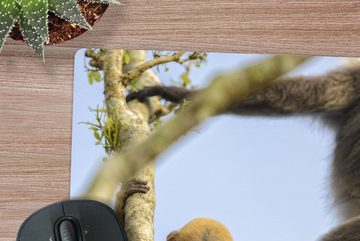 MuchoWow Gaming Mauspad Junger Affe schaut in die Kamera (1-St), Mousepad mit Rutschfester Unterseite, Gaming, 40x40 cm, XXL, Großes