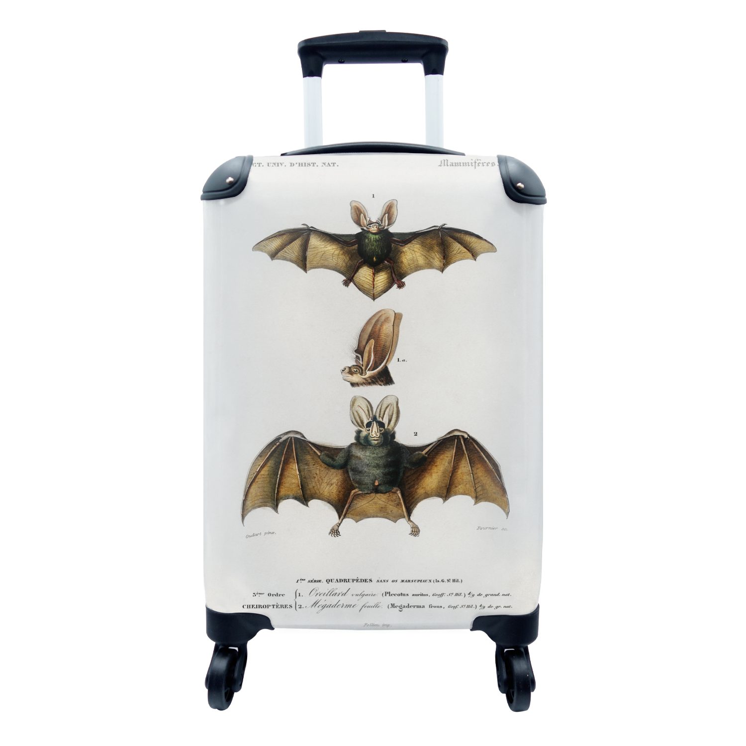 MuchoWow Handgepäckkoffer Fledermaus - Vintage - Tier, 4 Rollen, Reisetasche mit rollen, Handgepäck für Ferien, Trolley, Reisekoffer