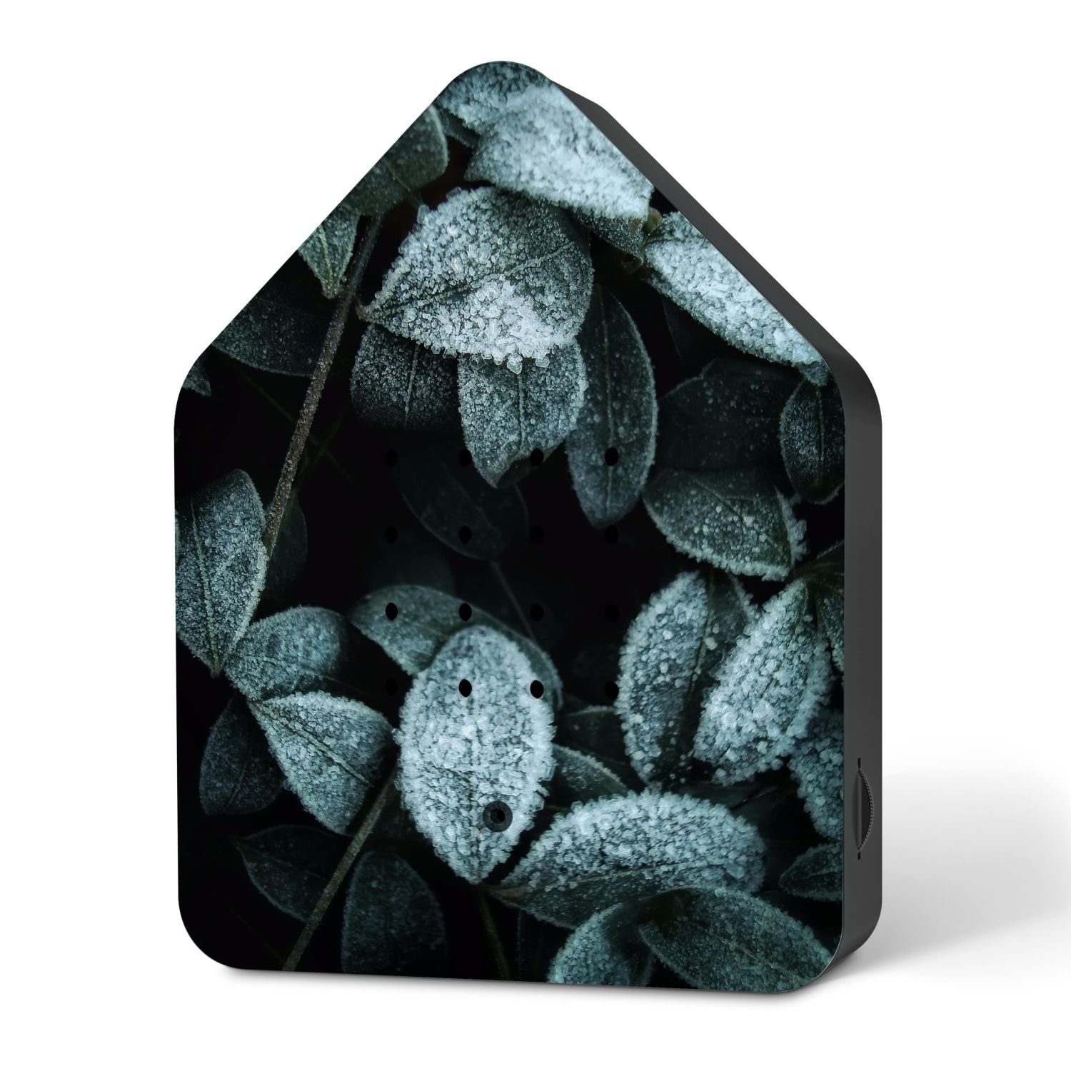 Relaxound GmbH Wanddekoobjekt Zwitscherbox Celebrate Winter Frosty Leaves