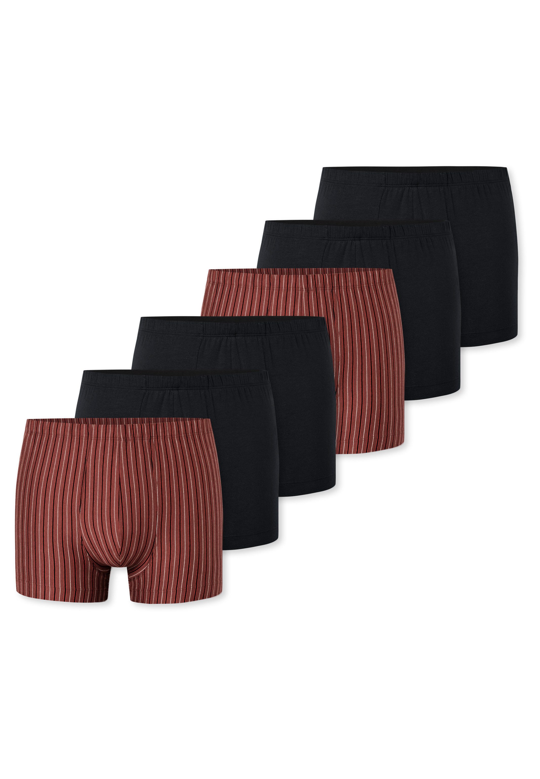 Schiesser Retro Boxer 6er Pack 95/5 Essentials - Cotton (Spar-Set, 6-St) Re günstig online kaufen