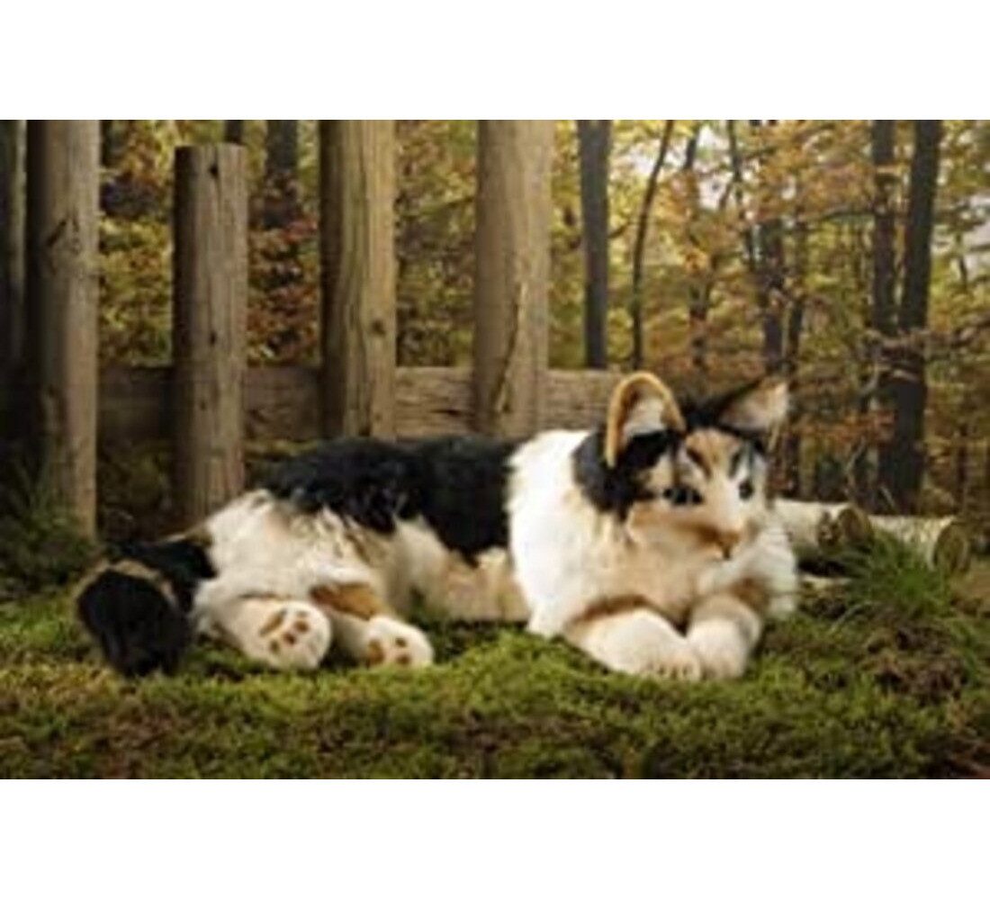 Kösen Kuscheltier Kösen Glückskatze groß 69 cm Stofftier