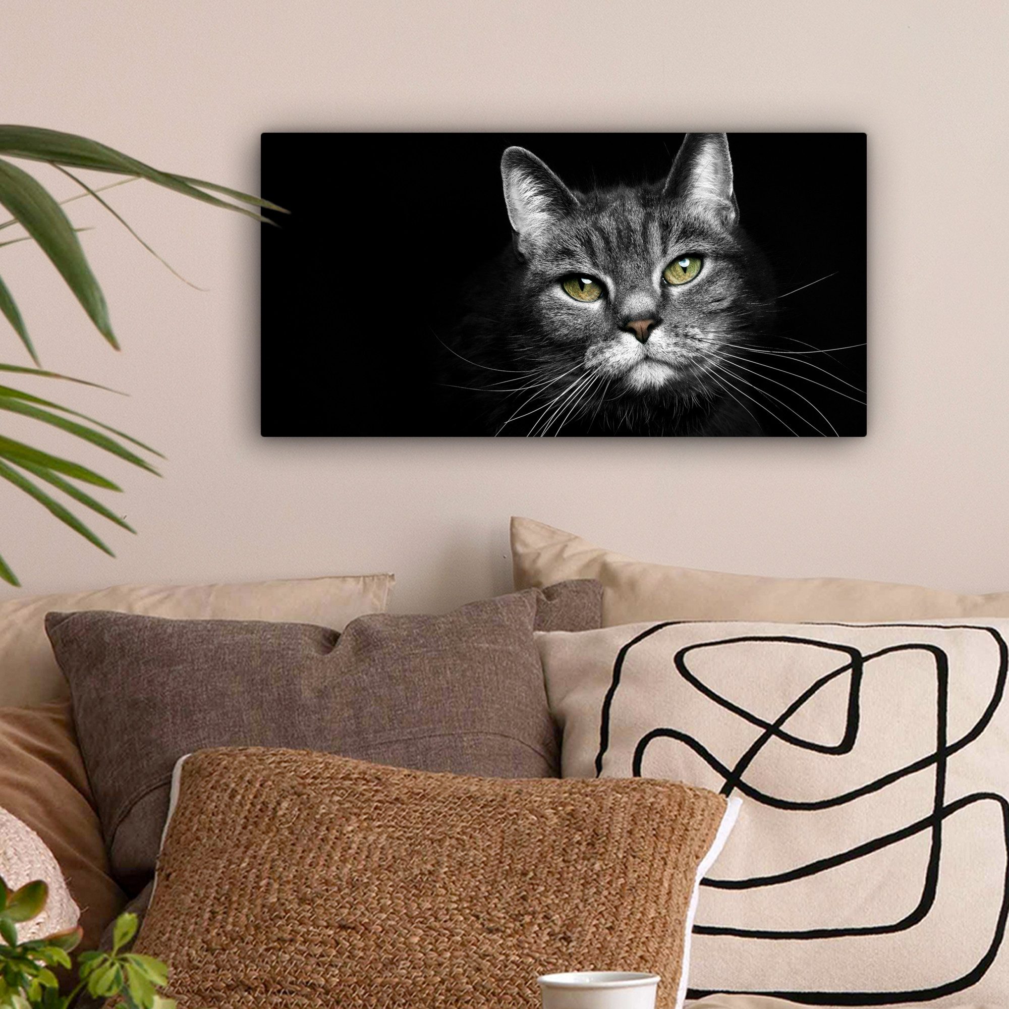 OneMillionCanvasses® Leinwandbild Panorama Haustiere - Katze günstig online kaufen