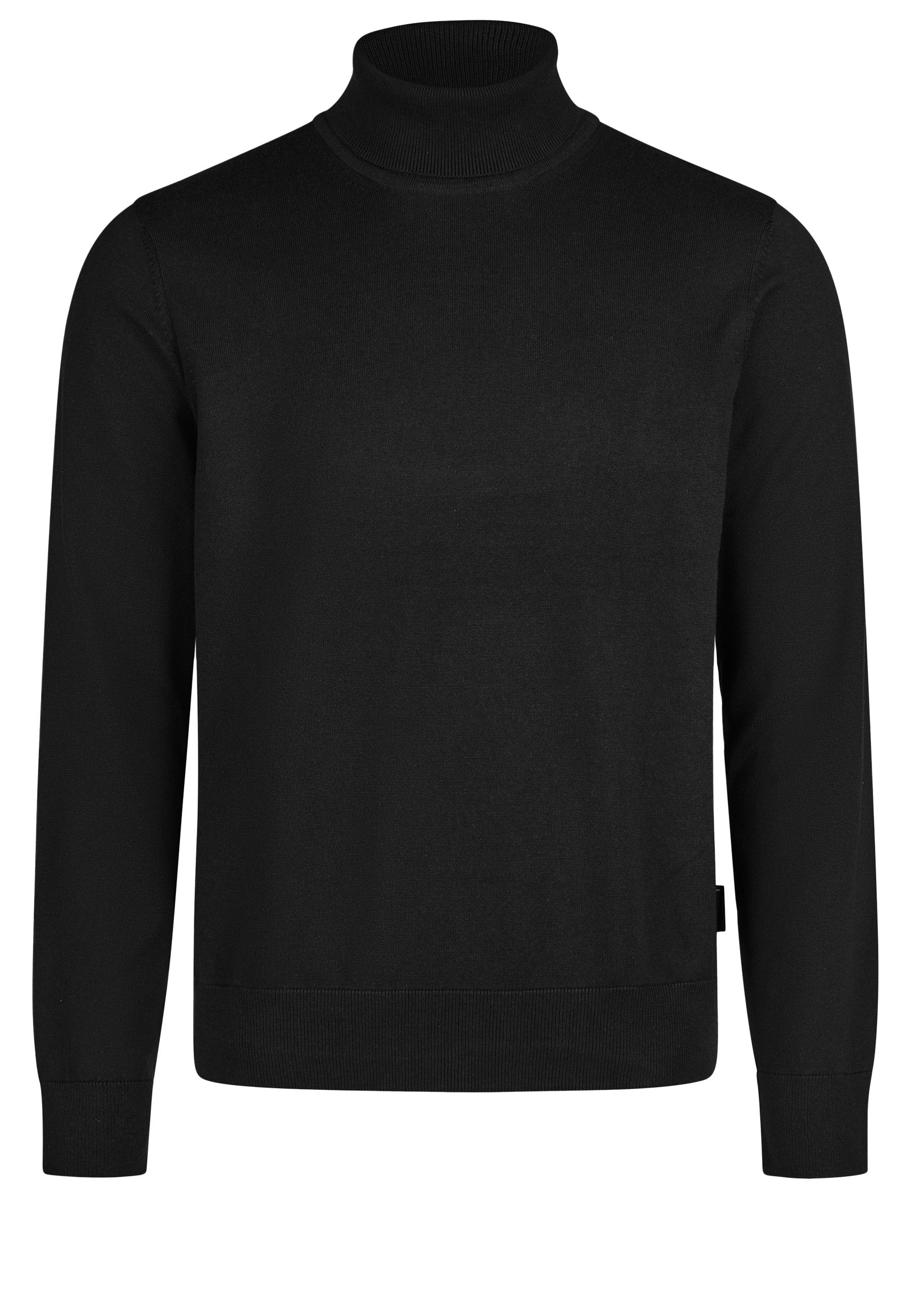 HECHTER PARIS Strickpullover mit Rollkragen (1-tlg)