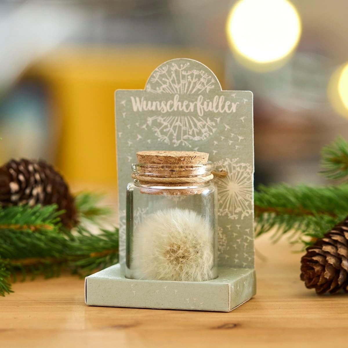 Trockenblume Echte Pusteblume, Toller Wunscherfüller zur günstig online kaufen