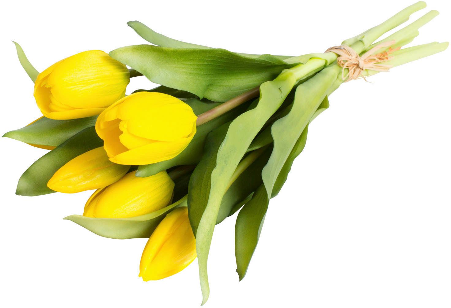 Kunstblume Willa Tulpe, Botanic-Haus, Höhe 32 cm, Tulpenbündel im 7er-Set