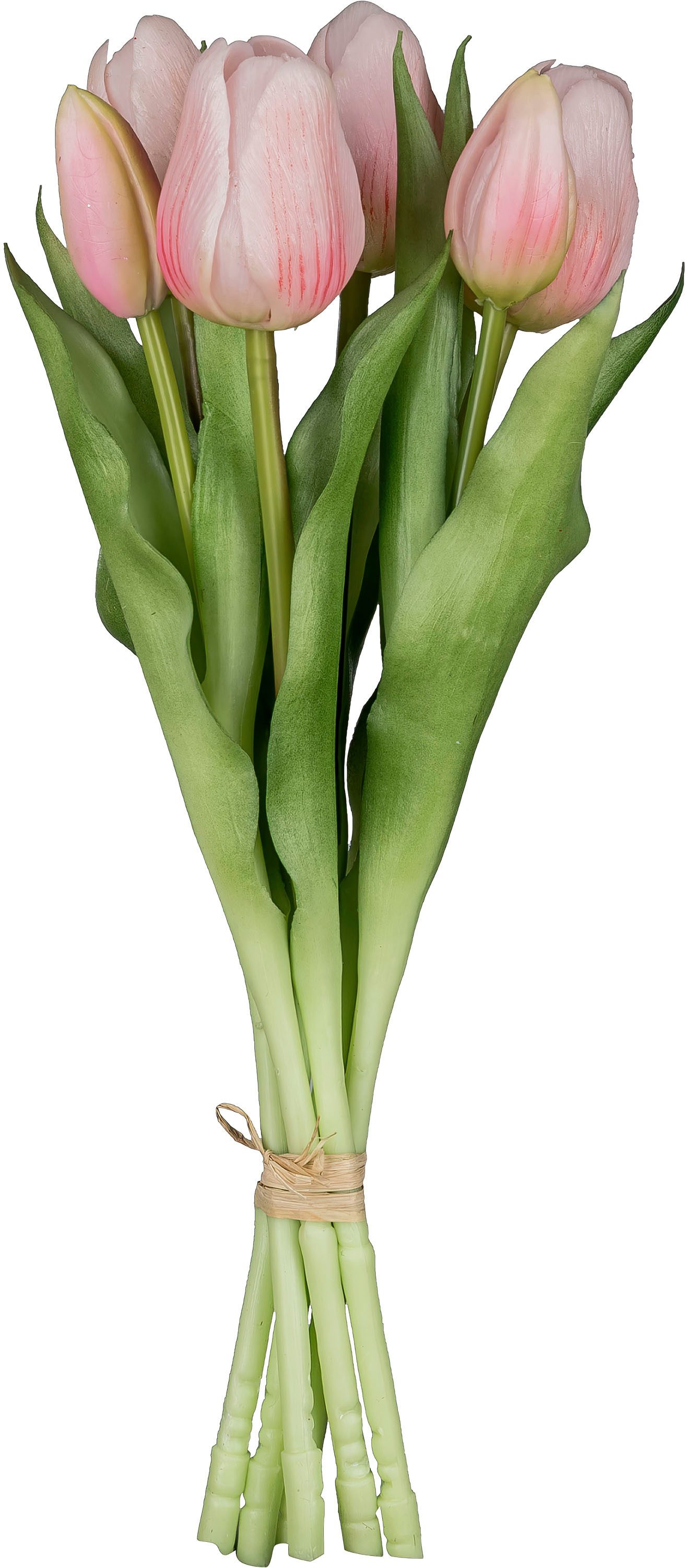 Kunsttulpe Tulpenbund, Creativ green, Höhe 32 cm, aus 6 Einzelstielen