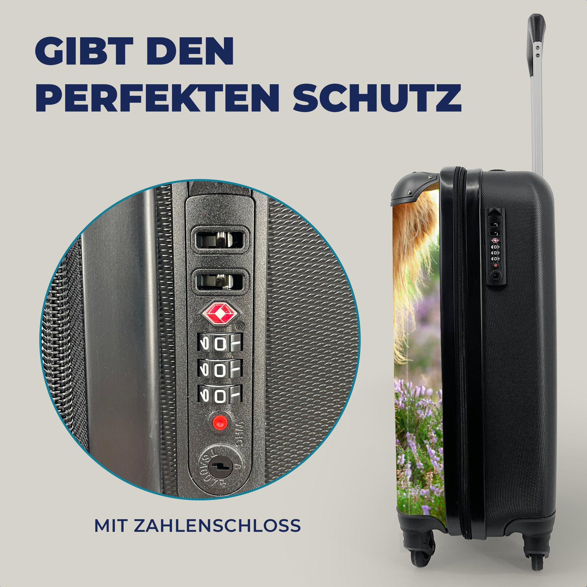 MuchoWow 4 rollen, Reisekoffer Highlander Handgepäck Trolley, Gras Heidekraut Tiere, Schottische Handgepäckkoffer Ferien, mit - für Reisetasche - - Rollen,