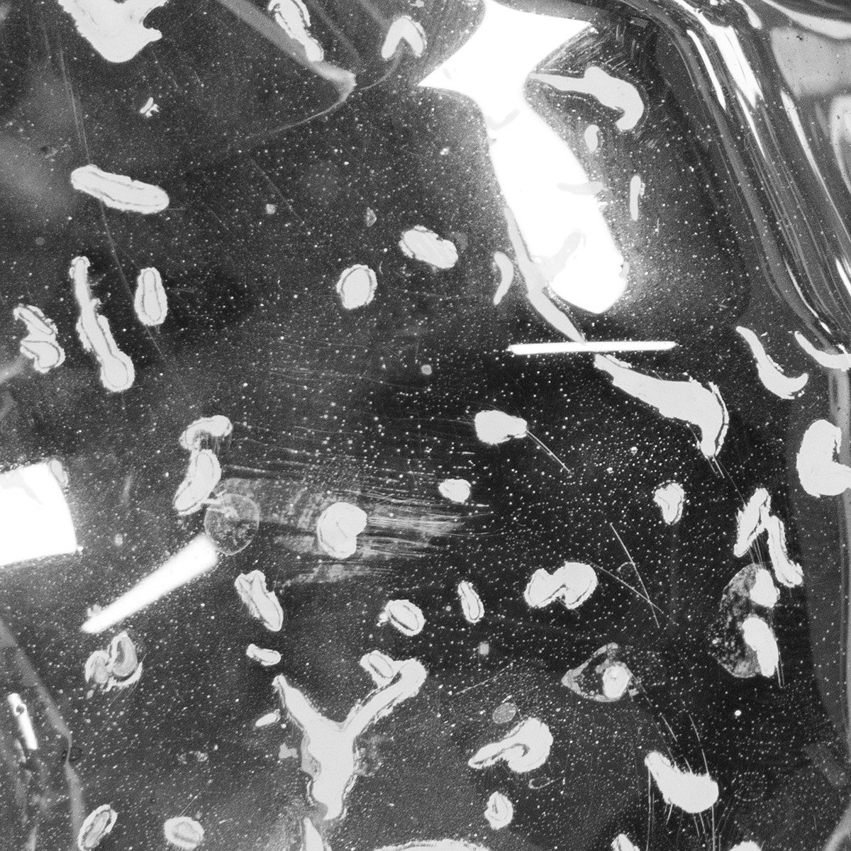 Posiwio Tischvase Teelichthalter Glas Schwimmschale für stimmungsvolle Dekoration, 2 St