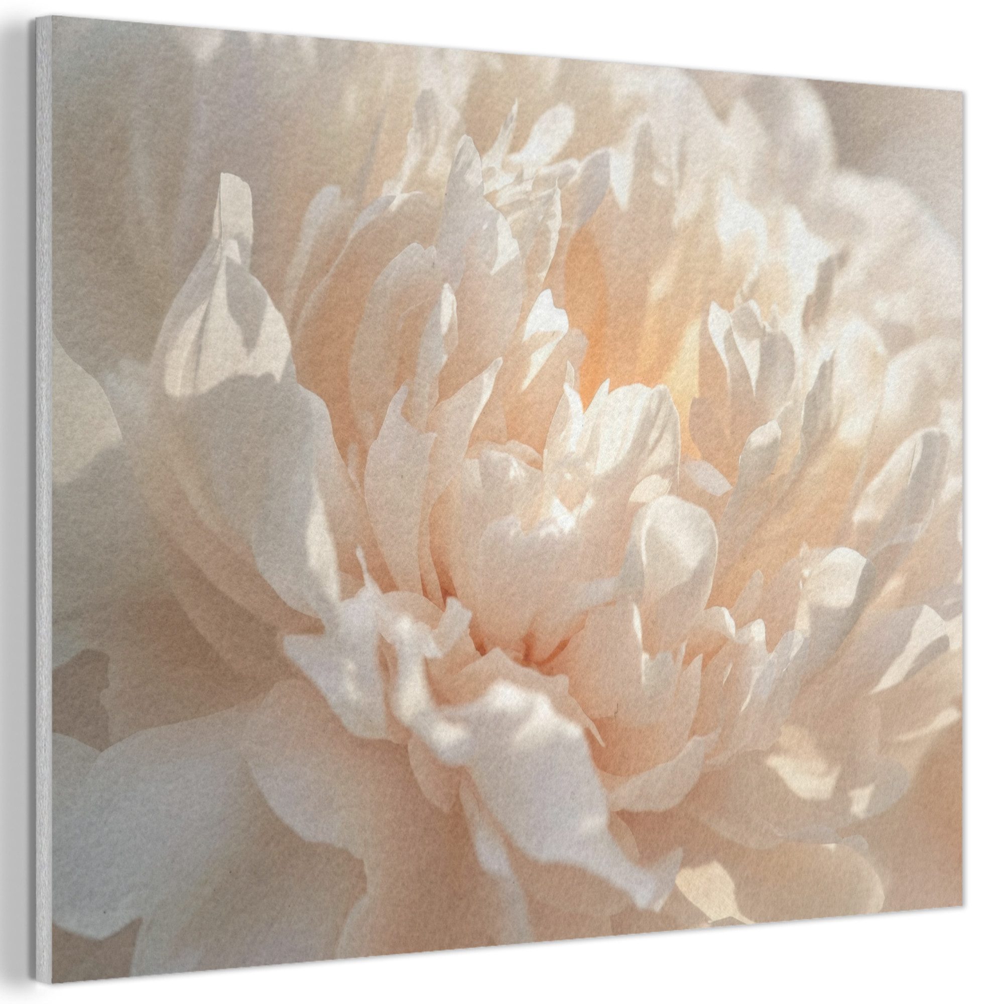 MuchoWow Gemälde Nahaufnahme - Pfingstrose - günstig online kaufen