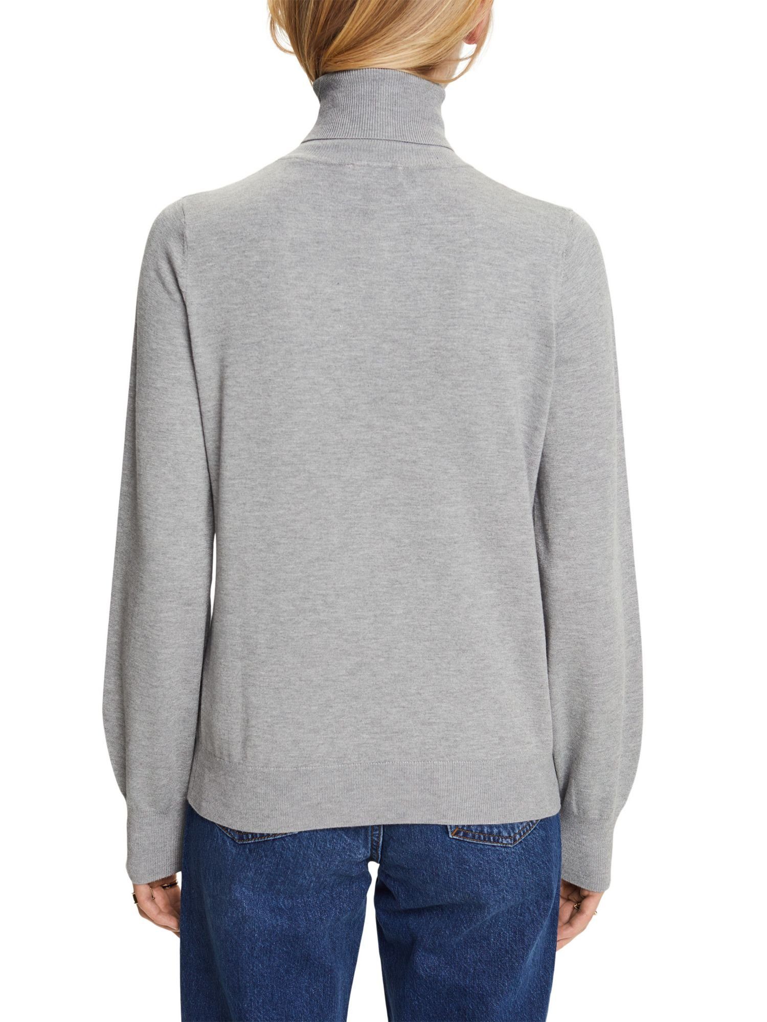 Esprit Collection Rollkragenpullover Basic-Rollkragenpullover, LENZING™ GREY ECOVERO™ MEDIUM