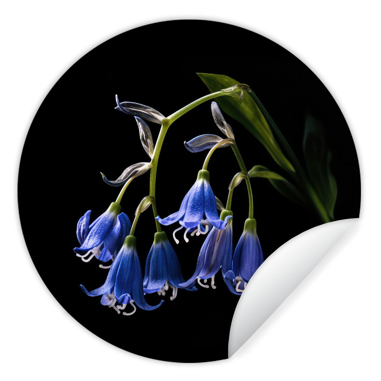 Blau - Kinderzimmer, Wandsticker St), für Hyazinthe Tapetenaufkleber, - Rund, Schwarz - Natur - Wohnzimmer Blumen Tapetenkreis MuchoWow (1