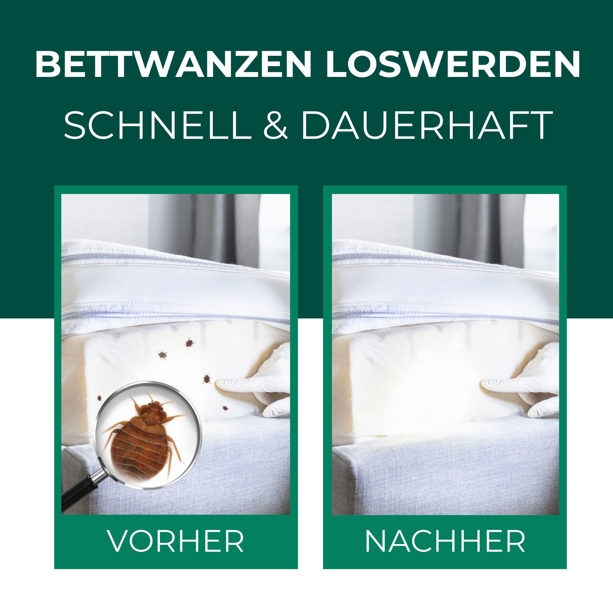 Silberkraft Insektenspray Silberkraft Bettwanzenspray, hält Textilien frei von Bettwanzen, 500 ml, 1-St., Sofortige & langanhaltende Wirkung gegen Bettwanzen, ohne Permethrin