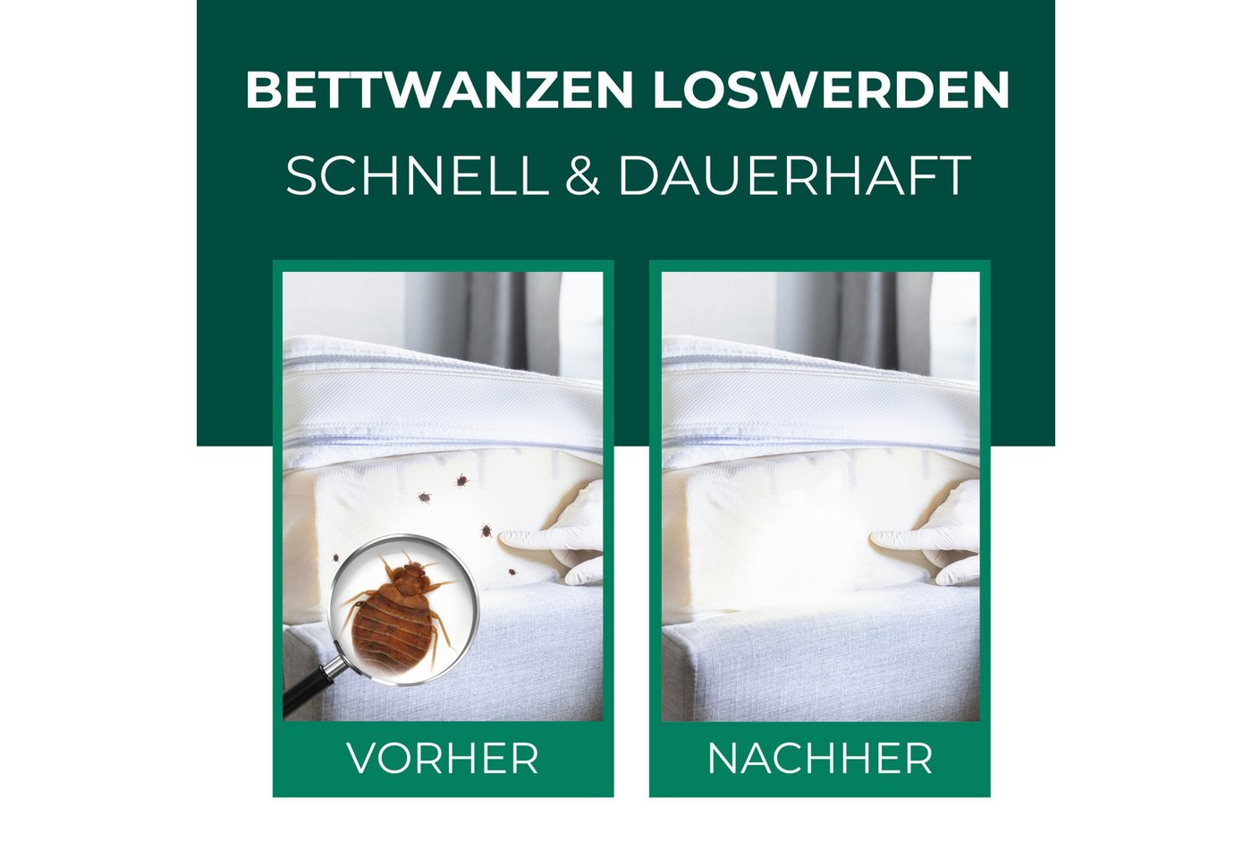 Thumbnail - Silberkraft Insektenspray Silberkraft Bettwanzenspray, hält Textilien frei von Bettwanzen, 500 ml, 12-St., Sofortige & l...