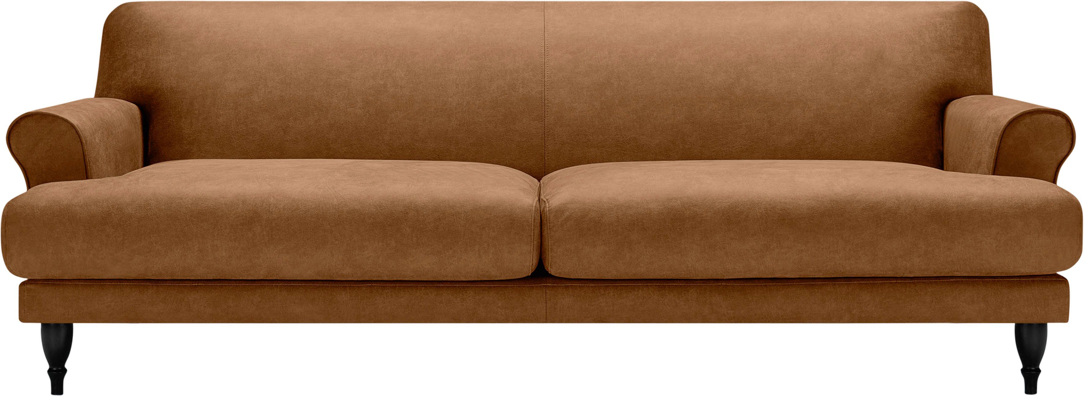 Füße LOVI Sofa 3-Sitzer, schwarz, Polsterunterlage Sitzunterfederung Buche mit Ginger,