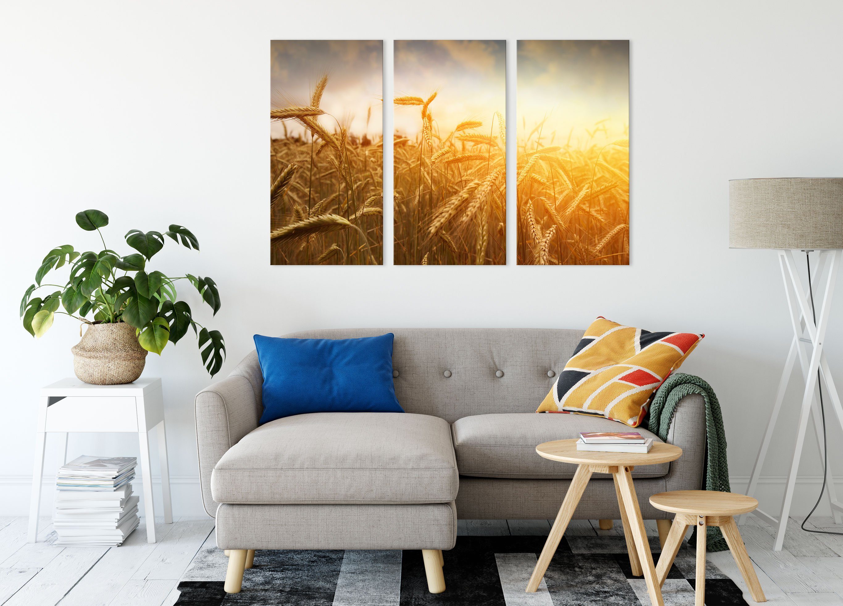 Sonnenlicht Getreide Leinwandbild (1 (120x80cm) Pixxprint inkl. Zackenaufhänger Leinwandbild im Sonnenlicht, Getreide fertig St), bespannt, 3Teiler im