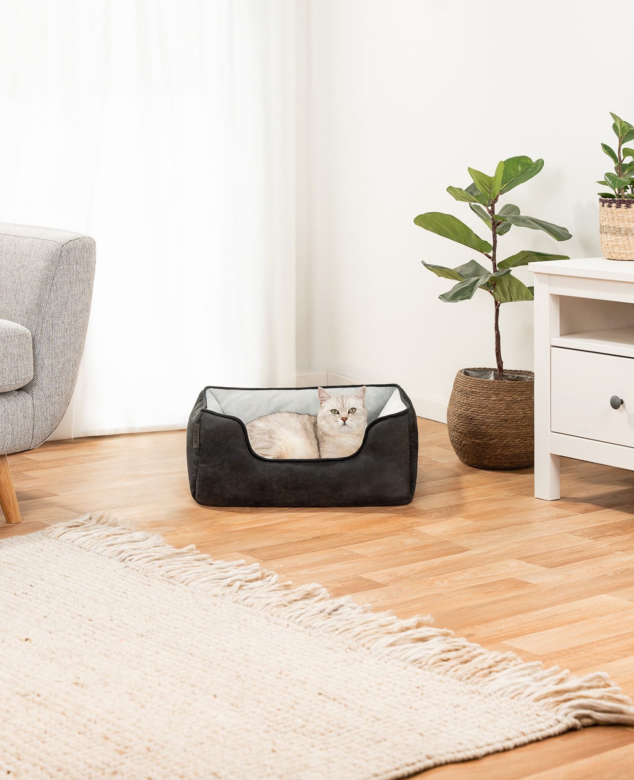 lionto Tierkissen, Wendesofa für Katzen, modernes Design, 60x50 cm, schwarz/grau, Polyester, Wildlederimitat, 2-in-1 Katzenbett, weich gepolstert & pflegeleicht