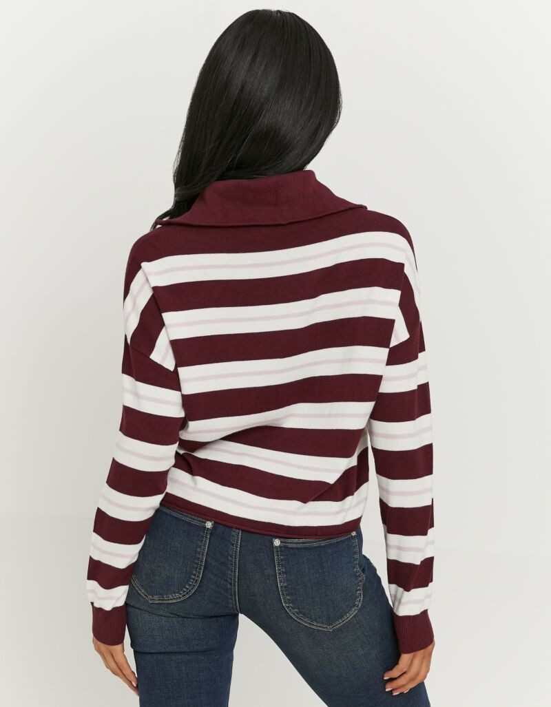 Tally Weijl Strickpullover SPUVICOLINE Viskosemischung, mit Troyer-Kragen