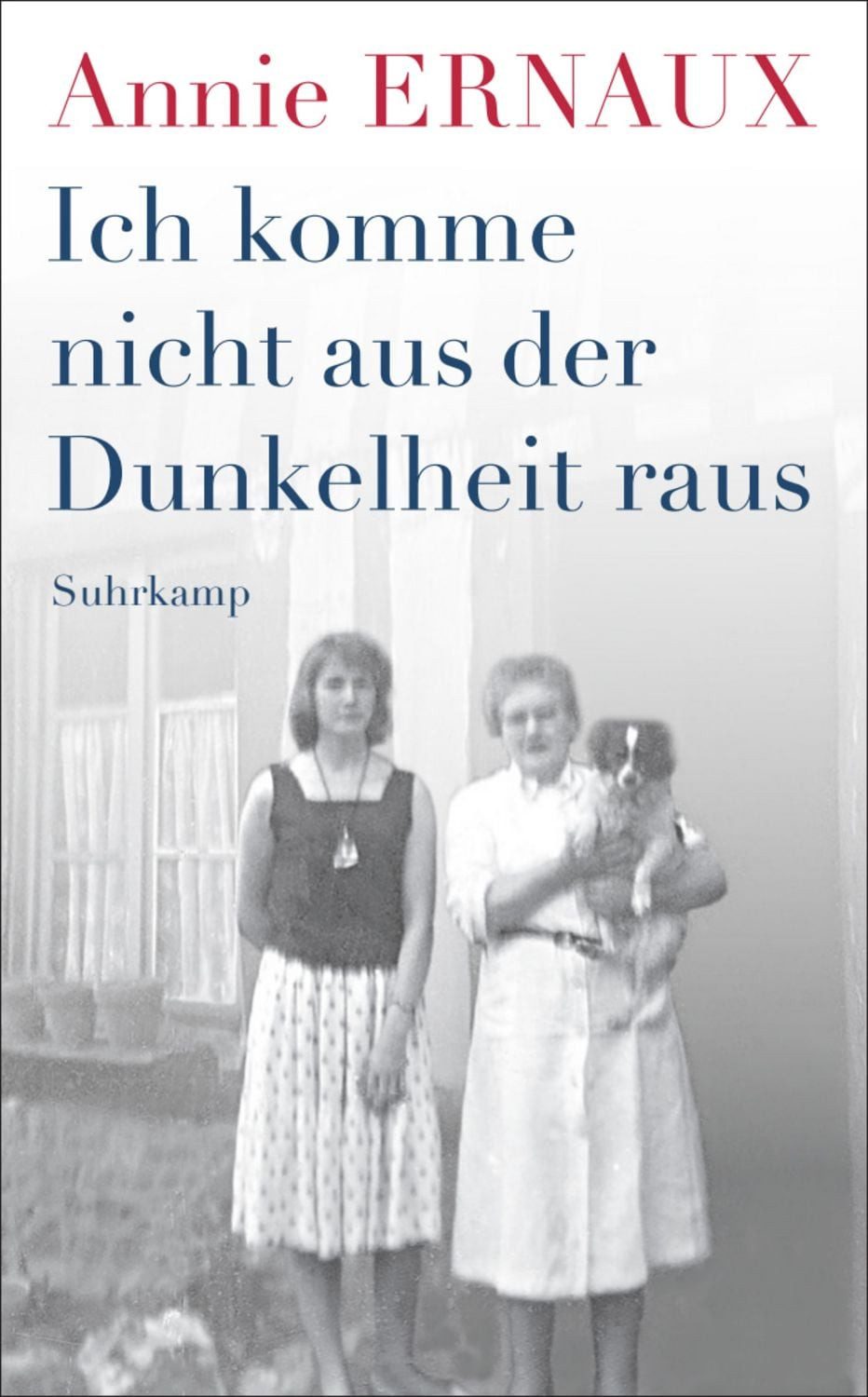 Ich komme nicht aus der Dunkelheit raus / Annie Ernaux