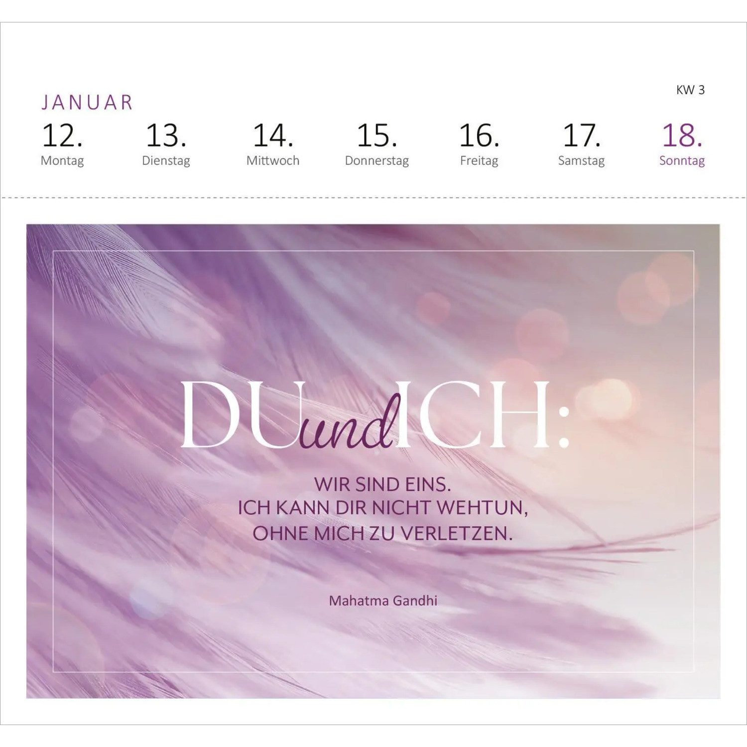 Ars Edition Tischkalender Postkartenkalender Feel the love 2026