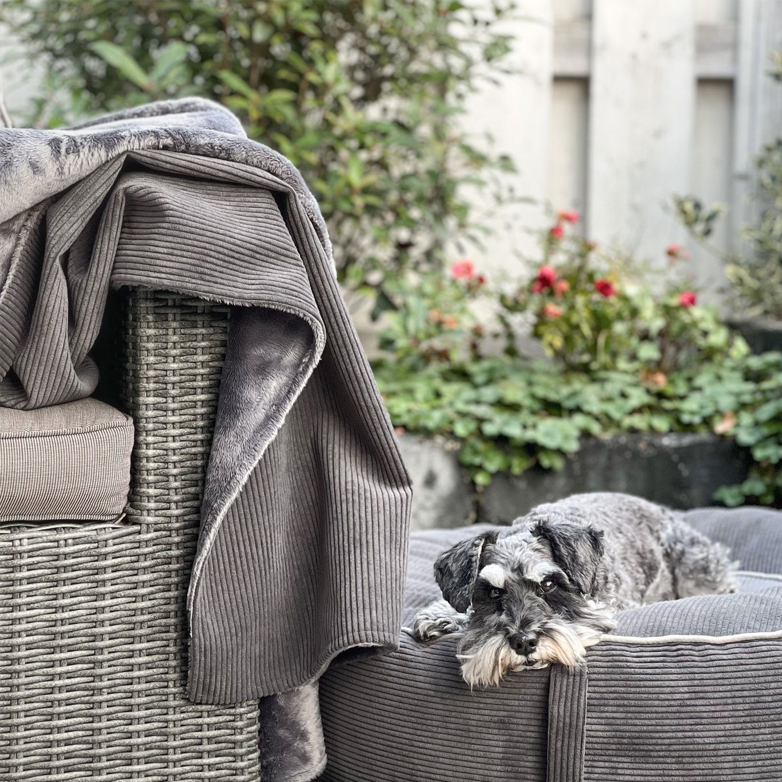 Wohndecke Ella, Herlag, Kord-Fleece-Kombination, Waschbar, ca. 150x130cm, A günstig online kaufen