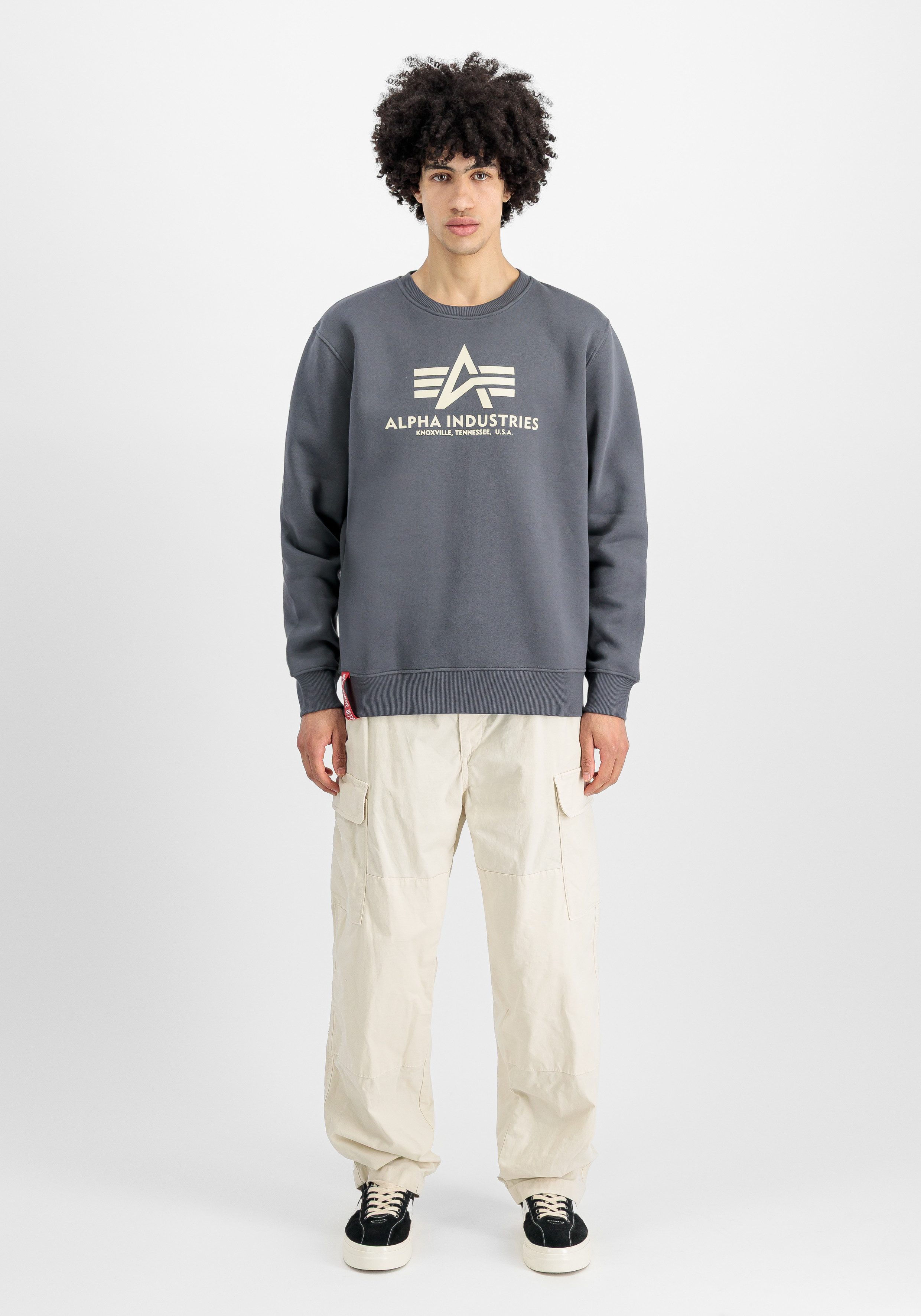Alpha Industries Sweatshirt Basic Sweater Baumwollmischung, regular fit