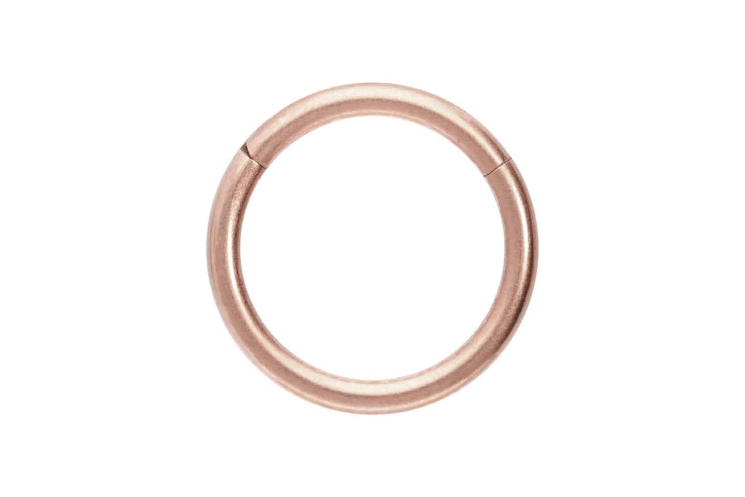 PIERCINGLINE Nasenpiercing Titan Segmentring Clicker MATT günstig online kaufen