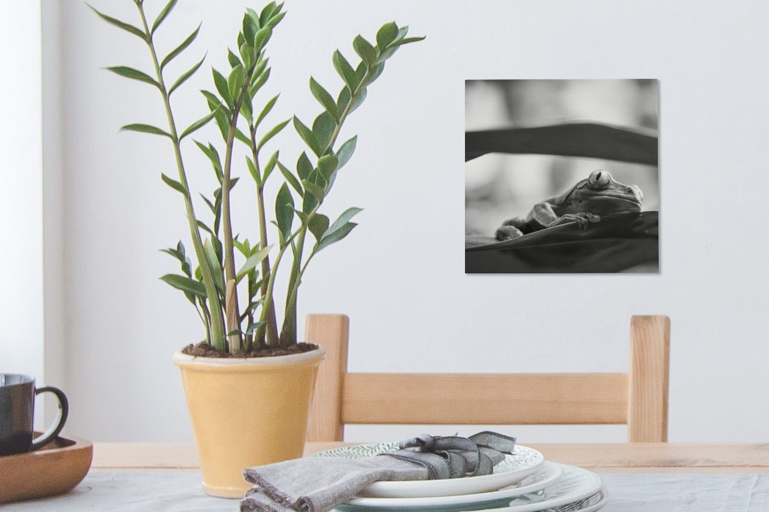 in Frösche Leinwandbild Bilder Costa Schlafzimmer Weiß, Natur für Ricas (1 OneMillionCanvasses® Wohnzimmer der und in St), Leinwand Schwarz