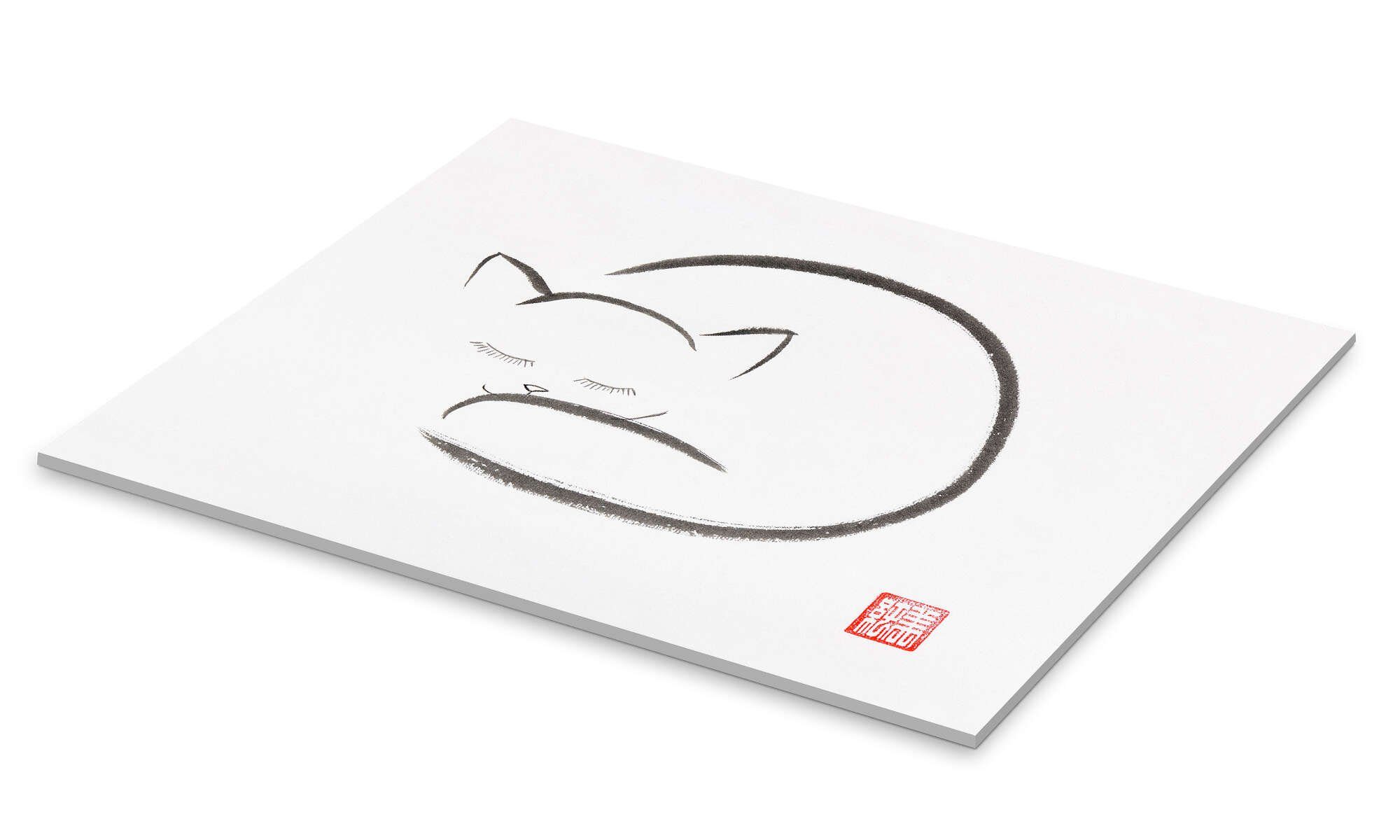 Posterlounge Wandbild Schlafende Katze, Maxim Images, erhältlich als Poster, Leinwandbild, Wandsticker oder Acrylglasbild