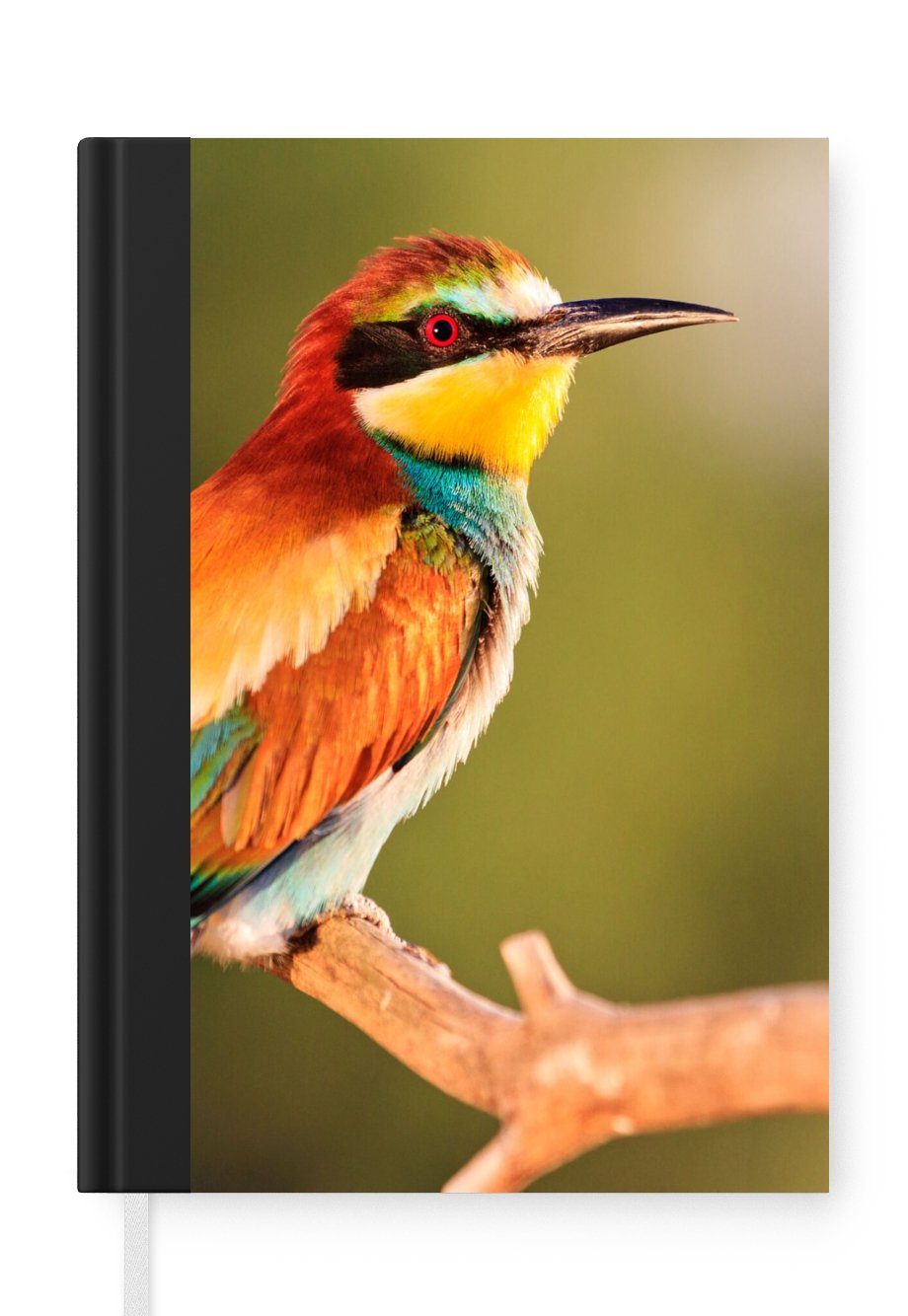 MuchoWow Notizbuch Vögel - Bienenfresser - Regenbogen - Tiere, Journal, Merkzettel, Tagebuch, Notizheft, A5, 98 Seiten, Haushaltsbuch