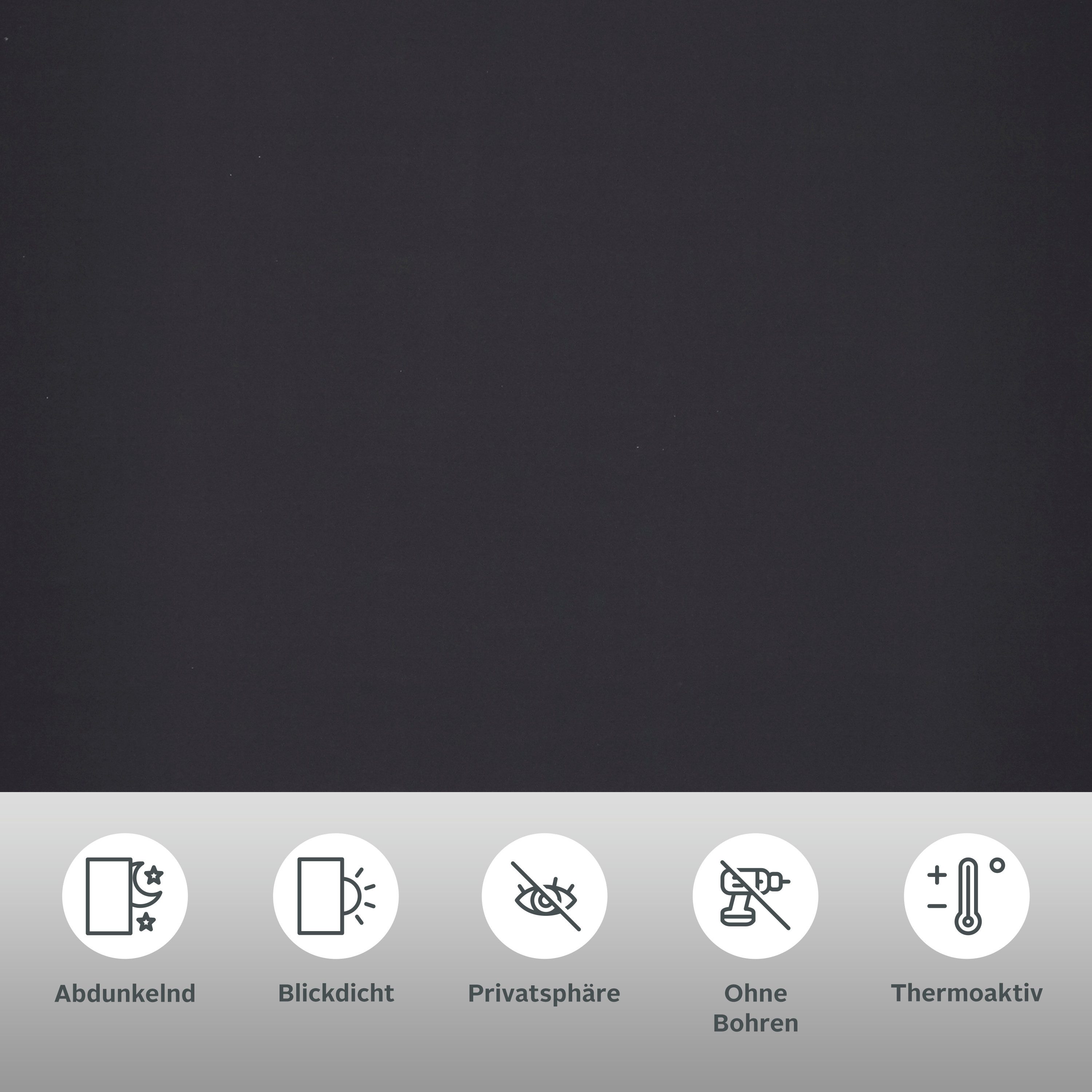 Seitenzugrollo THEMSE, OTTO home, abdunkelnd, ohne Bohren, freihängend, Klemmfix, Bestseller mit über 3000 4,5-Sterne-Bewertungen, Klemmträger