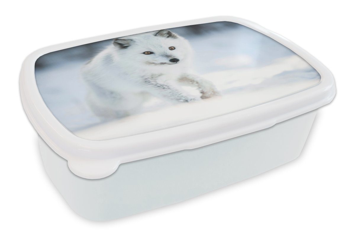 MuchoWow Lunchbox Fuchs - Weiß - Schnee, Kunststoff, (2-tlg), Brotbox für Kinder und Erwachsene, Brotdose, für Jungs und Mädchen