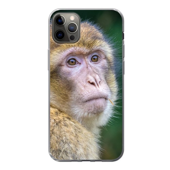 MuchoWow Handyhülle Affen - Tiere - Porträt - Natur Handyhülle Apple iPhone 13 Pro Max Smartphone-Bumper Print Handy