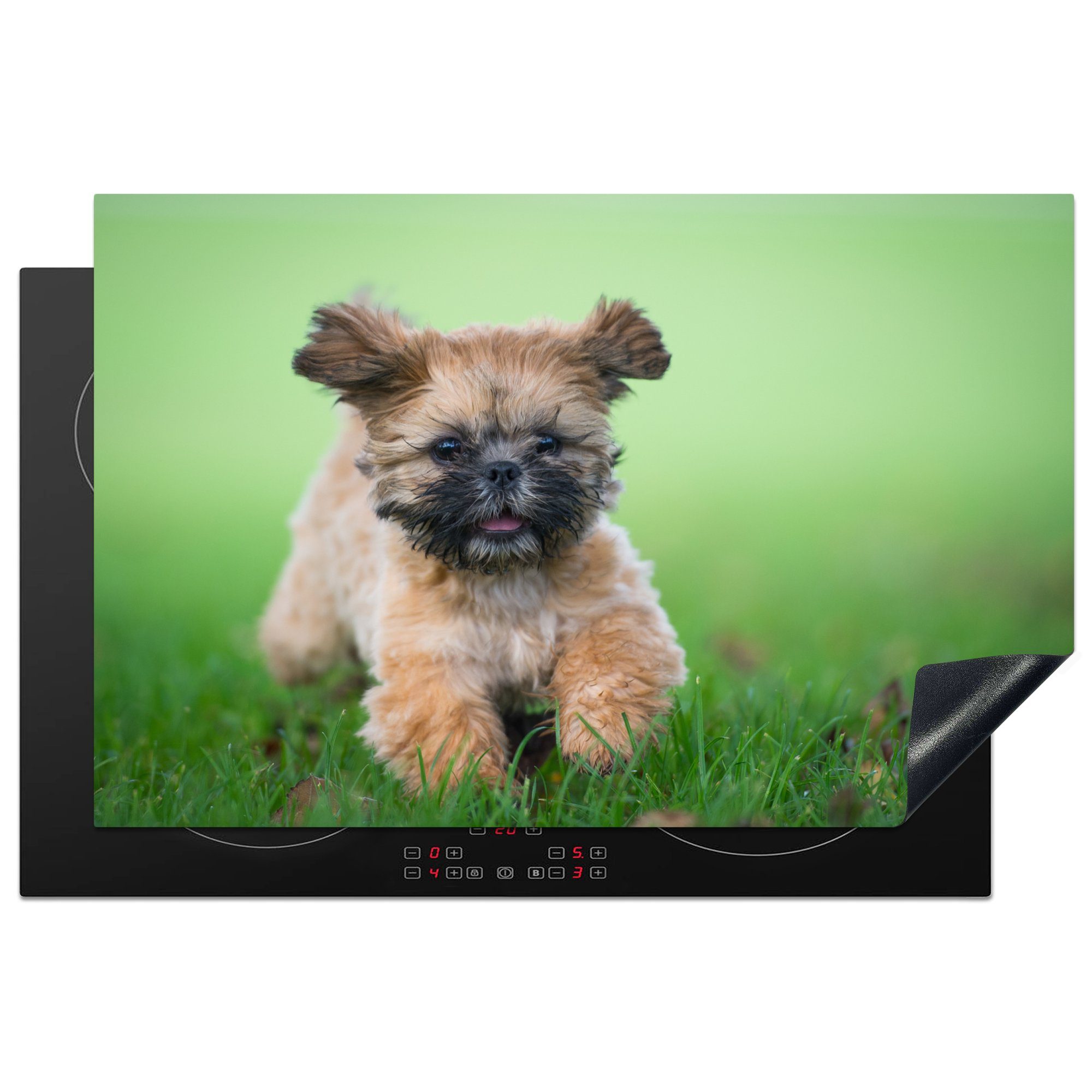 MuchoWow Herdblende-/Abdeckplatte Ein niedlicher Shih Tzu Hund, der durch das Gras läuft, Vinyl, (1 tlg), 81x52 cm, Induktionskochfeld Schutz für die küche, Ceranfeldabdeckung