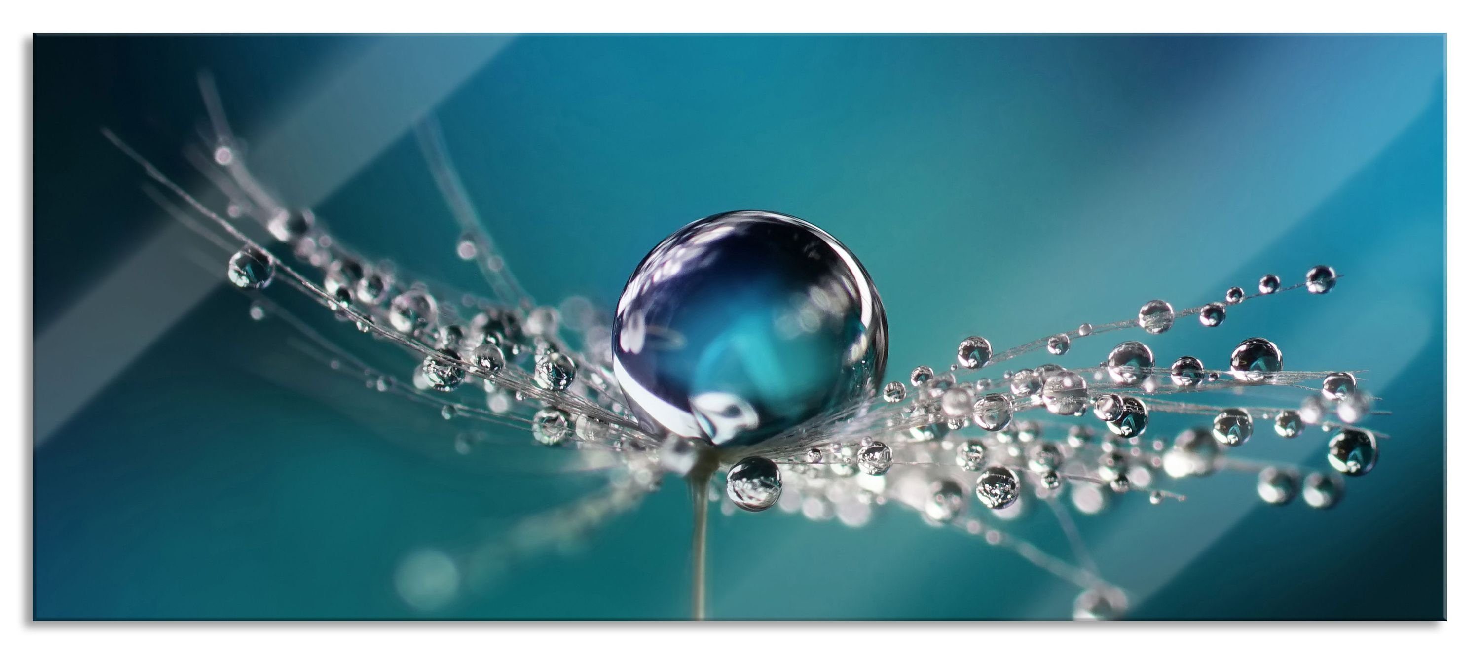 (1 auf aus Abstandshalter Echtglas, auf Pusteblume, und Pusteblume St), Wassertropfen Aufhängungen Pixxprint Glasbild einer inkl. Glasbild Wassertropfen einer