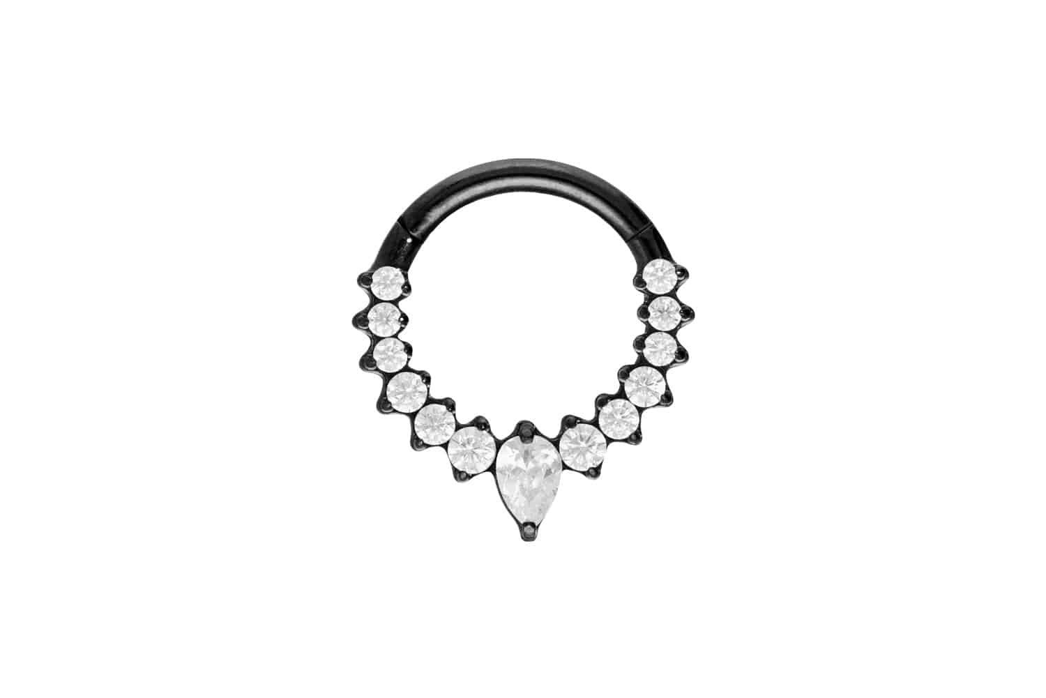 Piercing-Set Titan Segmentring Clicker EINGEFASSTE KRISTALLE