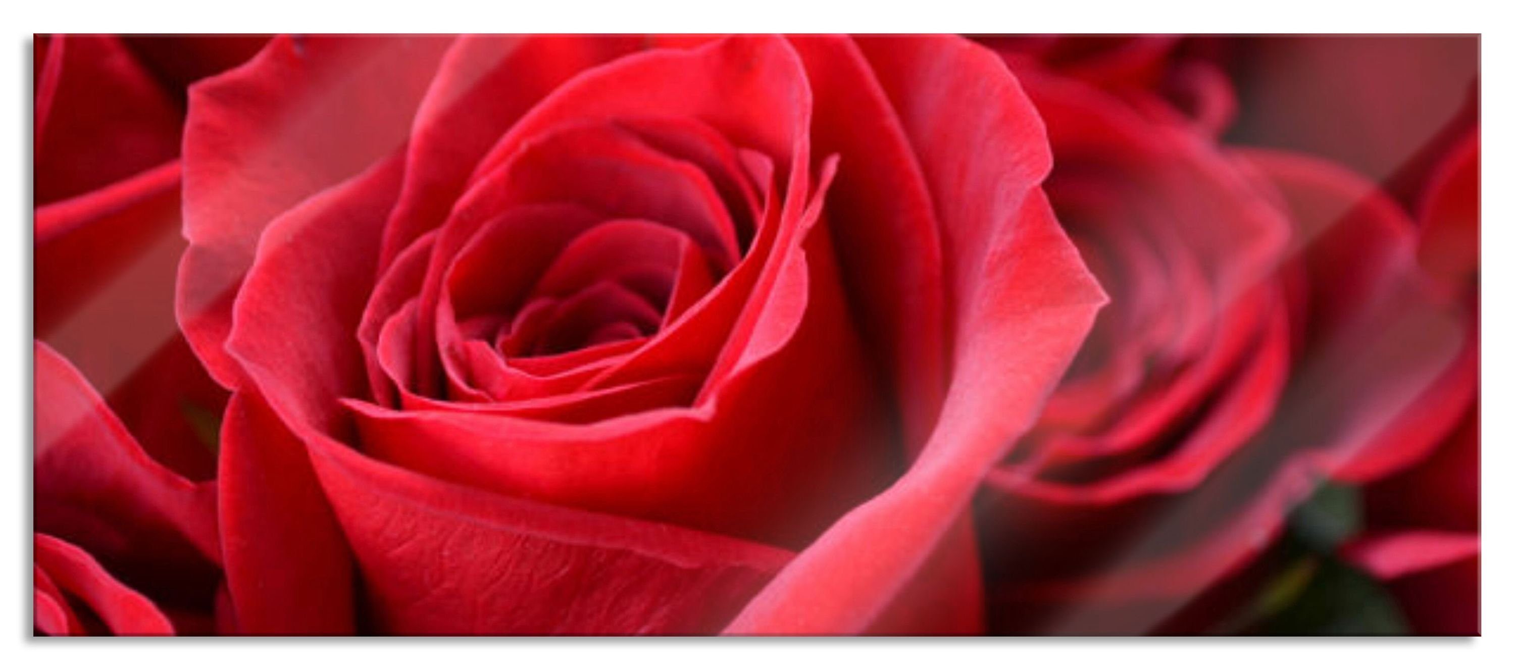 Glasbild Romantische Rosen