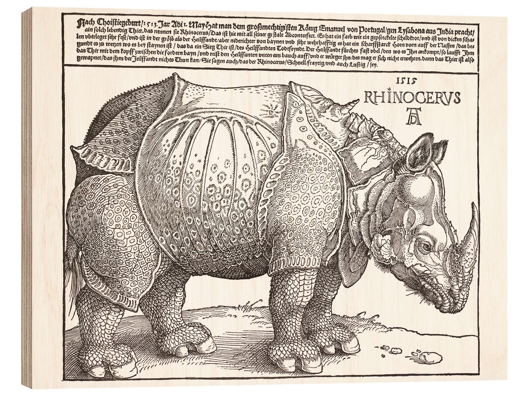 Holzbild Albrecht Dürer