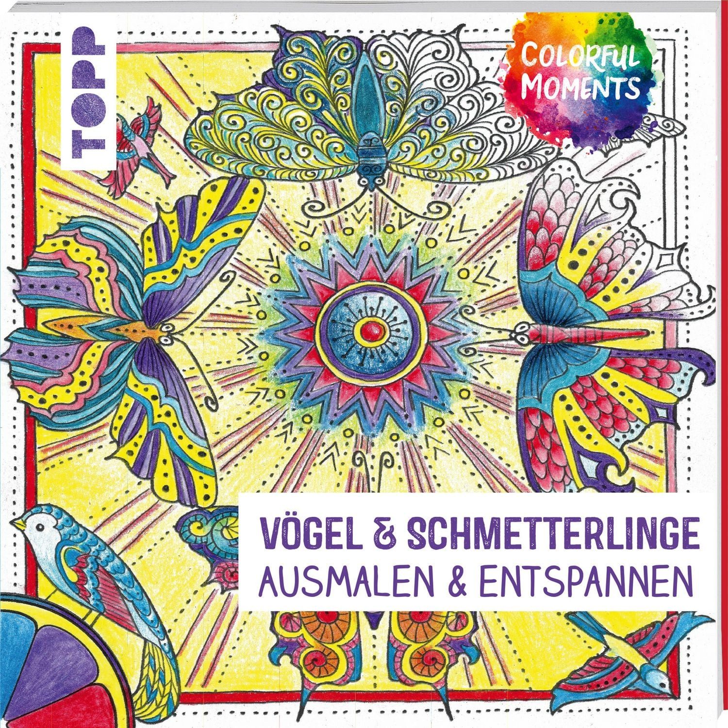 Colorful Moments - Vögel & Schmetterlinge / Ursula Schwab
