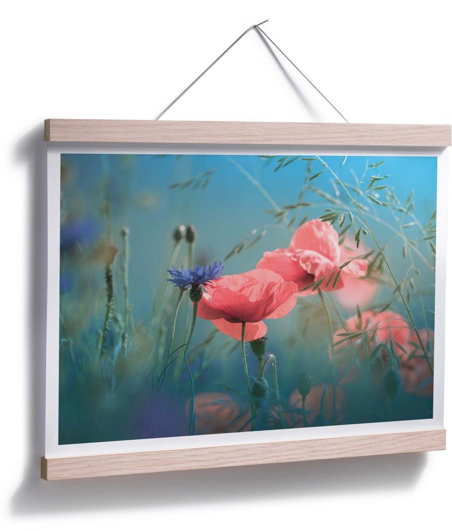Poster St) Aquamarin, Blumen (1 Wall-Art Wildblumen