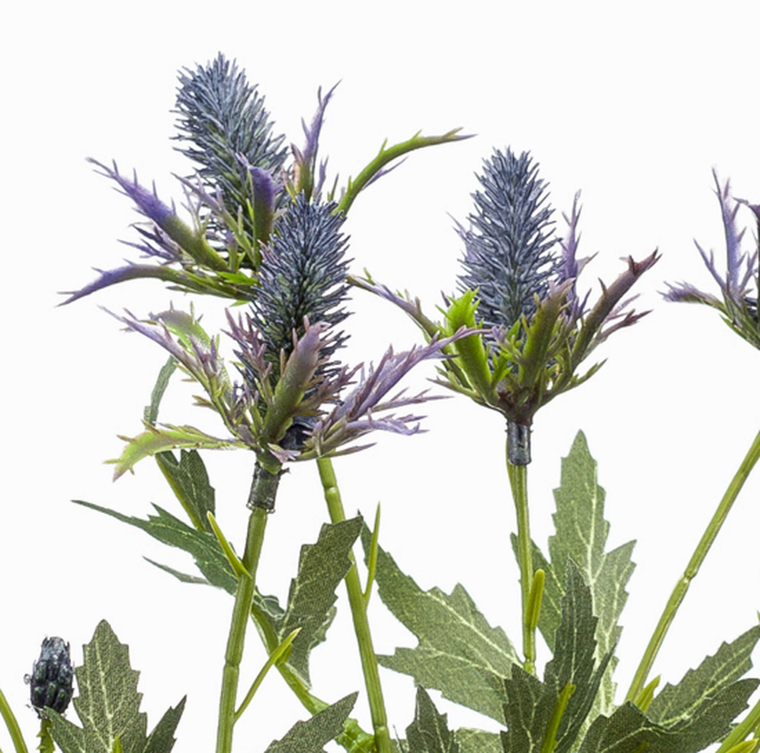 Kunstzweig Edeldistel CUACOS, blau, 70cm Distel (Mannstreu), artplants, Höhe 70.0 cm – Bild 3 von 4