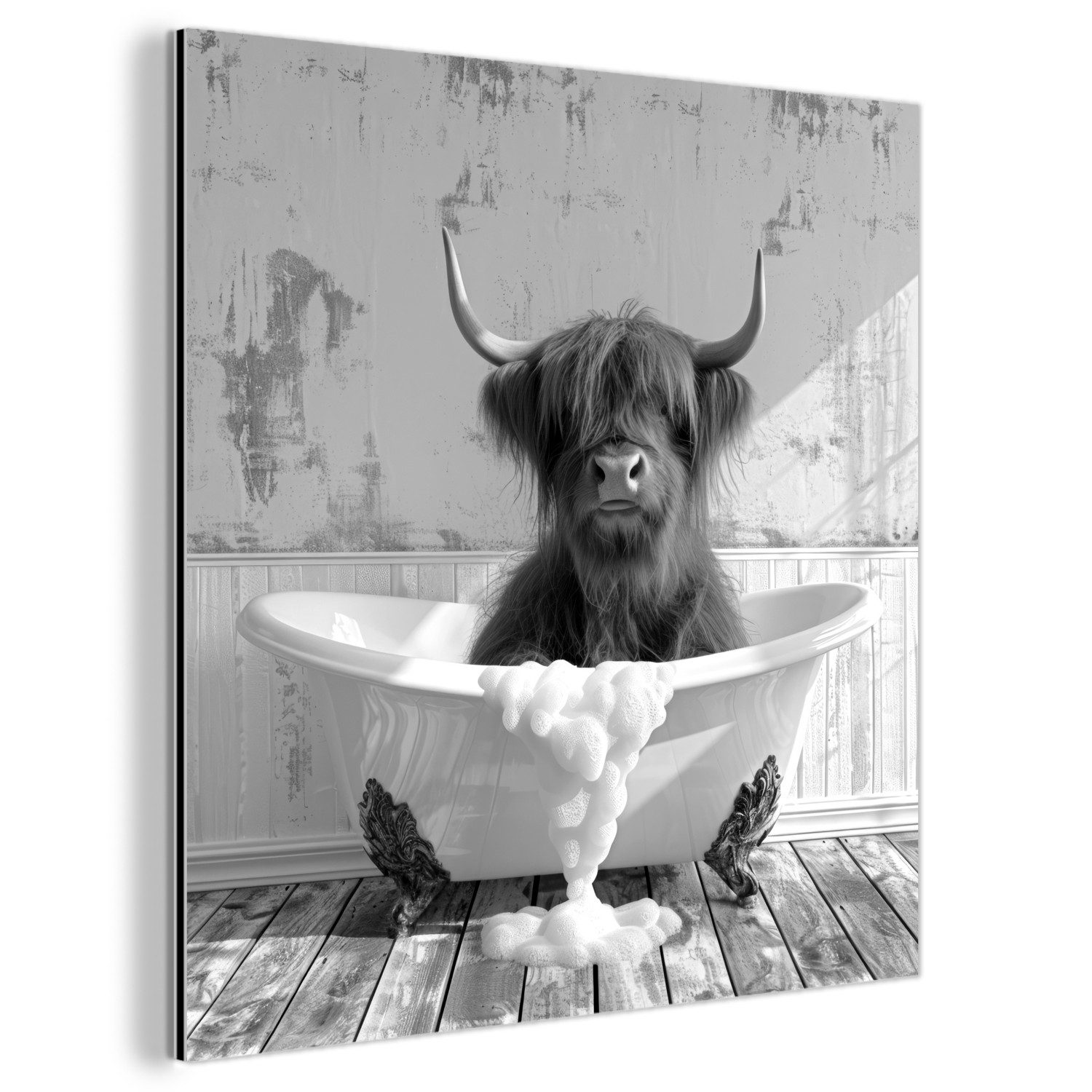 MuchoWow Metallbild Scottish Highlander - Tier günstig online kaufen