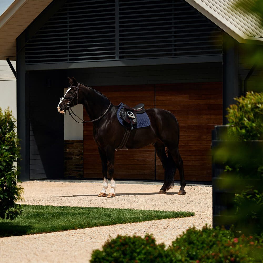 Schabracke Weatherbeeta Suede Elite Air-Tec Jump Shaped Saddle Pad