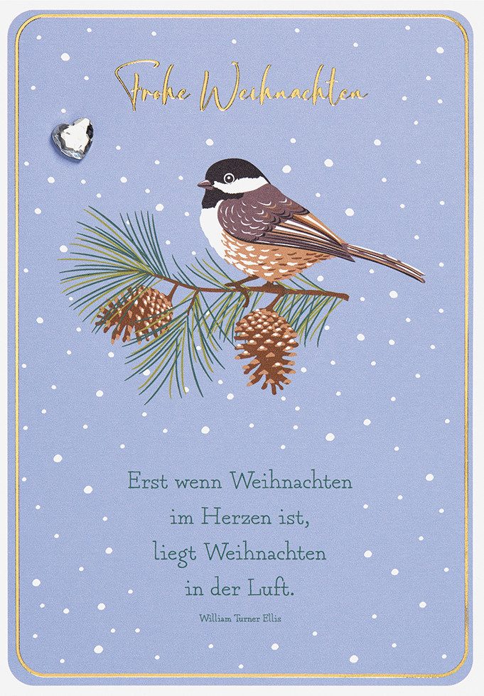 Perleberg Grußkarten Weihnachten - Unverpackt - Glückwunschkarte im Format 11,6 x 16,6 cm