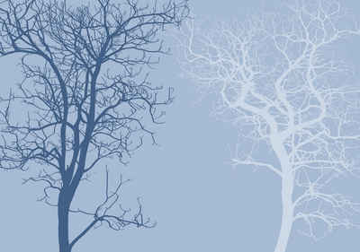 wandmotiv24 Fototapete Blau Baum Silhouetten, strukturiert, Wandtapete, Motivtapete, matt, Vinyltapete, selbstklebend